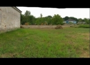 Satılır 11 sot torpaq Quba