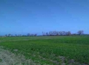 Satılır 10 sot torpaq Xaçmaz