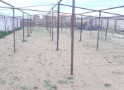 Satılır 12 sot torpaq Zirə