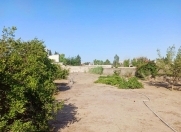 Satılır 14 sot torpaq Şüvəlan