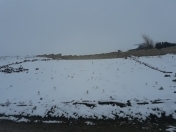 Satılır 8 sot torpaq Qobu