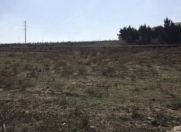 Satılır 5 sot torpaq Dübəndi bağları