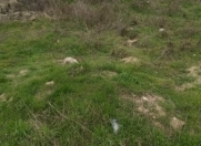 Satılır 4.5 sot torpaq Əmircan