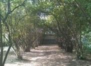 Satılır 3 otaqlı 100 m2 həyət evi Qəbələ