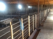 Satılır 10 otaqlı 1500 m2 obyekt Məhəmmədli