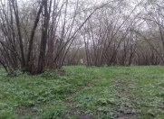 Satılır 4 sot torpaq Qax