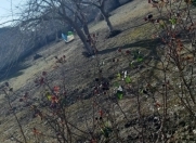 Satılır 5 sot torpaq Mehdiabad