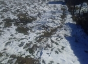 Satılır 20 sot torpaq Şamaxı