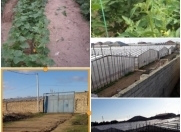 Satılır 36 sot torpaq Heydər Əliyev Mərkəzi