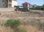 Satılır 60 sot torpaq Şamaxı