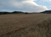 Satılır 42 sot torpaq Xızı