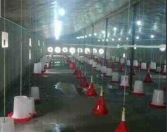 İcarəyə verilir 3 otaqlı 10000 m2 obyekt Xudat