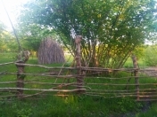 Satılır 2000 sot torpaq Oğuz