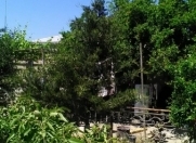 Satılır 4 otaqlı 150 m2 həyət evi Bilgəh