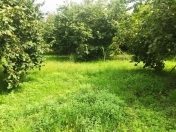 Satılır 2000 sot torpaq Oğuz