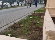 Satılır 6 otaqlı 98 m2 obyekt Əhmədli