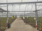 Satılır 9 otaqlı 1800 m2 obyekt Şəmkir