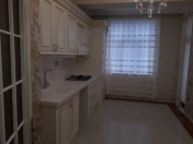 Satılır 3 otaqlı 116 m2 yeni tikili 5 mkr