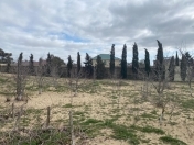 Satılır 14 sot torpaq Şüvəlan