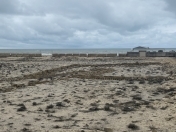 Satılır 15 sot torpaq Novxanı