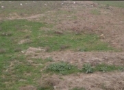 Satılır 18 sot torpaq Kürdəxanı