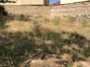 Satılır 3 sot torpaq Badamdar