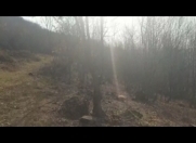 Satılır 100 sot torpaq Şamaxı