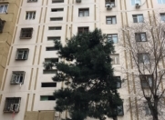 Satılır 4 otaqlı 90 m2 köhnə tikili 3 mkr