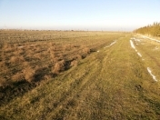 Satılır 857 sot torpaq Şabran