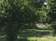 Satılır 120 sot torpaq Qəbələ