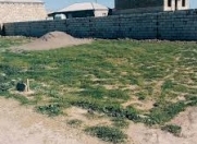 Satılır 3 sot torpaq Ramana