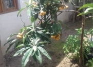 Satılır 3 otaqlı 200 m2 həyət evi Gəncə