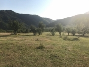 Satılır 200 sot torpaq Şamaxı