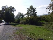 Satılır 100 sot torpaq Oğuz