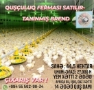 Satılır 14 otaqlı 1234 m2 obyekt AGA Business Center