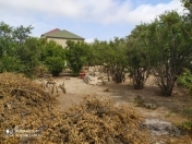 Satılır 5.8 sot torpaq Sumqayıt