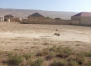 Satılır 48 sot torpaq Qobu