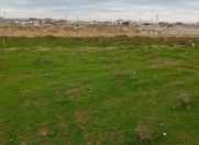 Satılır 9.5 sot torpaq Saray