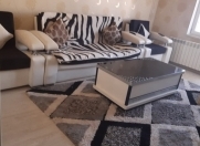 Satılır 2 otaqlı 55 m2 yeni tikili 9 mkr