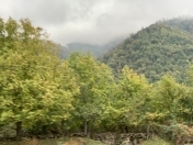 Satılır 4 otaqlı 151 m2 bağ evi Qəbələ