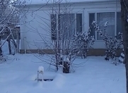 İcarəyə verilir 3 otaqlı 120 m2 bağ evi Qusar