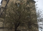 İcarəyə verilir 2 otaqlı 40 m2 köhnə tikili Port Baku