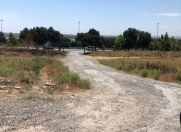 Satılır 500 sot torpaq Saray