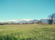 Satılır 30 sot torpaq Qəbələ