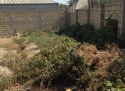 Satılır 3 sot torpaq Biləcəri