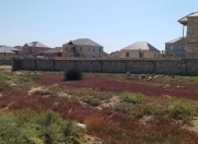 Satılır 6 sot torpaq Digah