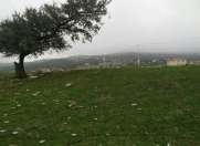 Satılır 6 sot torpaq Xızı