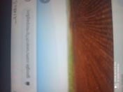 Satılır 12 sot torpaq Gəncə