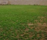 Satılır 10 sot torpaq Novxanı