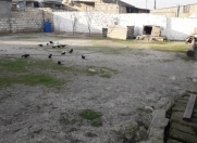 Satılır 10 sot torpaq Digah